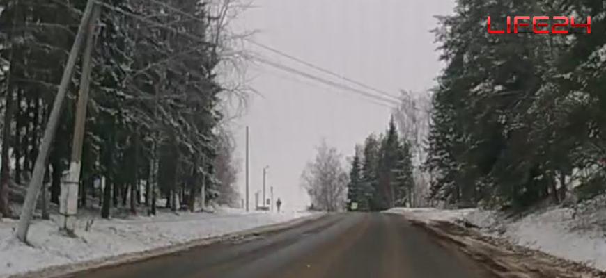 В Судиславле рабочие убрали аварийное дерево наклонившееся на тротуар и дорогу на улице Костромской