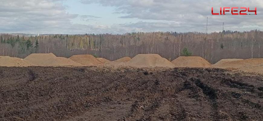 Под Судиславлем найдена гигантская свалка опилок и бытового мусора