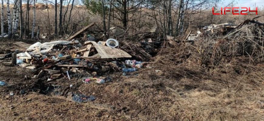 Под Судиславлем найдена гигантская свалка опилок и бытового мусора