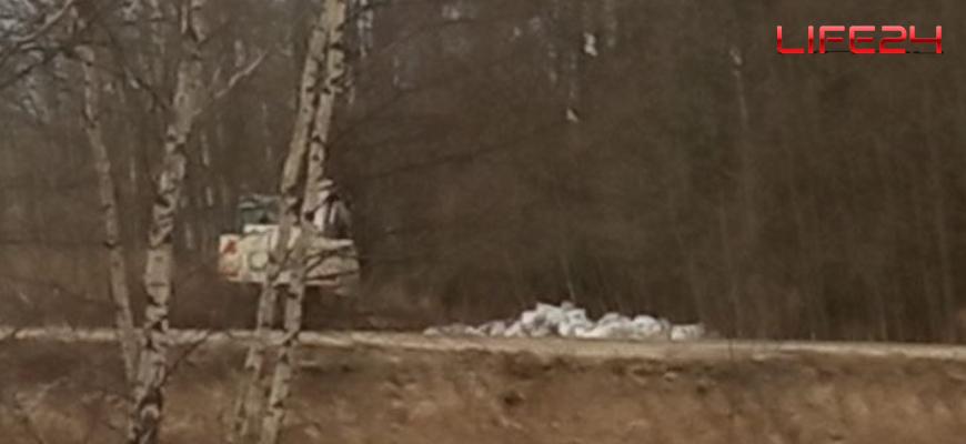 Под Судиславлем экскаватор дорожников ликвидировал незаконную свалку мусора