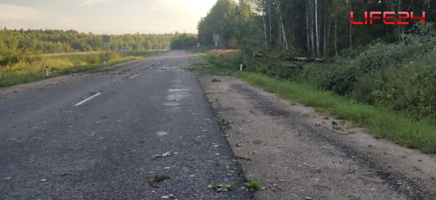 Деревья и опора упали на автодорогу в Судиславском районе во время сильного ветра
